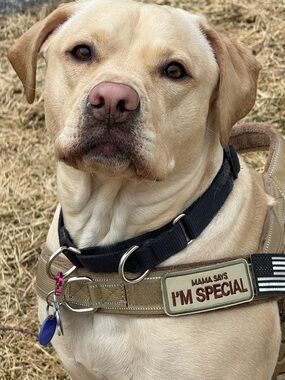 Meet your Posher, Rebecca